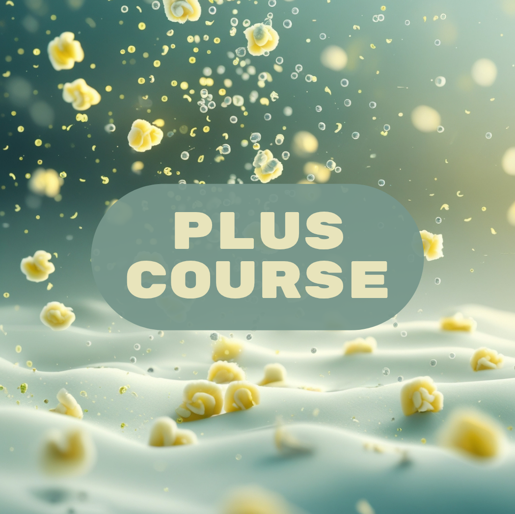 Plus Course