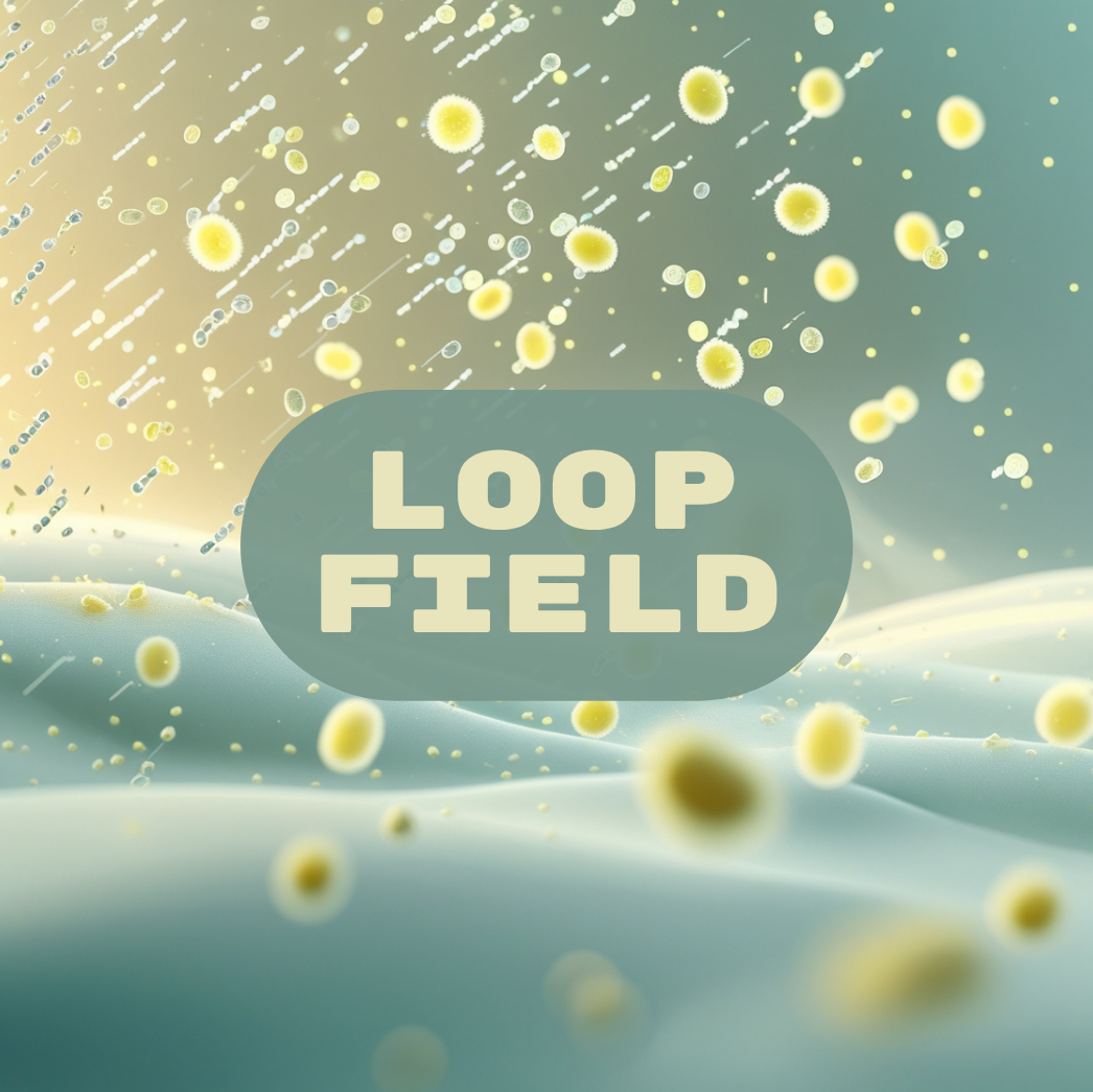 Loop Field